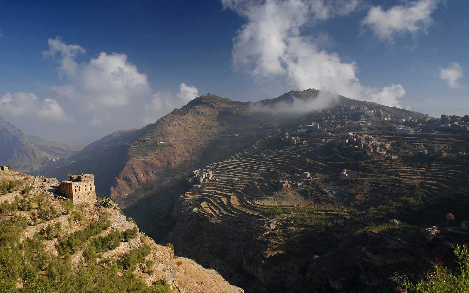 Yemen coffee terraces reaching into the clouds