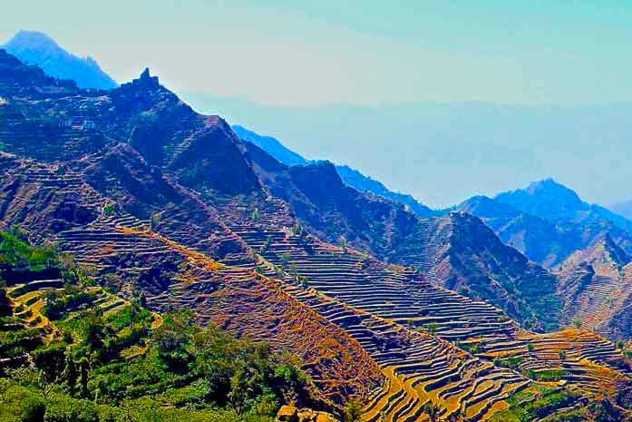 Matari Region Light-Med