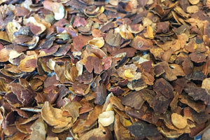 Qishr (coffee cherry tea)